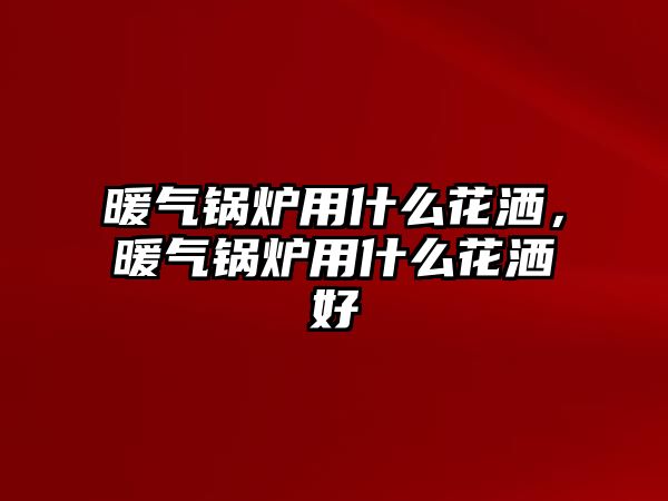 暖氣鍋爐用什么花灑，暖氣鍋爐用什么花灑好