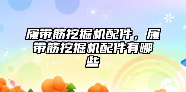 履帶筋挖掘機配件，履帶筋挖掘機配件有哪些