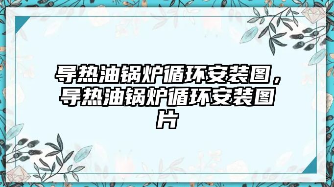 導(dǎo)熱油鍋爐循環(huán)安裝圖，導(dǎo)熱油鍋爐循環(huán)安裝圖片