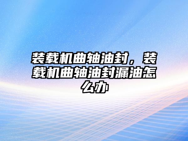 裝載機(jī)曲軸油封，裝載機(jī)曲軸油封漏油怎么辦