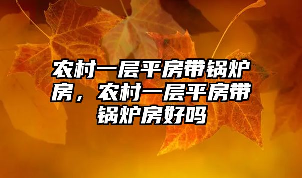 農(nóng)村一層平房帶鍋爐房，農(nóng)村一層平房帶鍋爐房好嗎