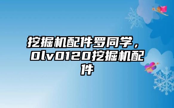 挖掘機配件羅同學，ⅴ0lv0120挖掘機配件