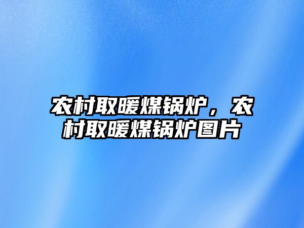 農(nóng)村取暖煤鍋爐，農(nóng)村取暖煤鍋爐圖片