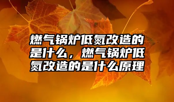 燃?xì)忮仩t低氮改造的是什么，燃?xì)忮仩t低氮改造的是什么原理