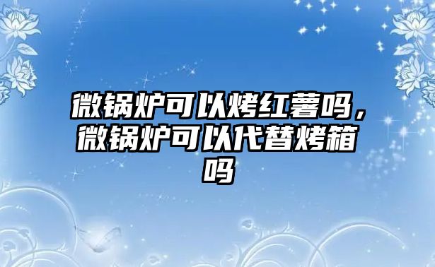 微鍋爐可以烤紅薯嗎，微鍋爐可以代替烤箱嗎