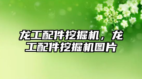 龍工配件挖掘機，龍工配件挖掘機圖片