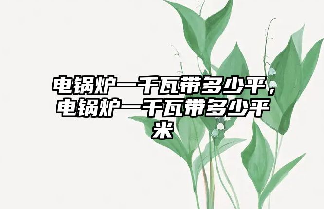 電鍋爐一千瓦帶多少平，電鍋爐一千瓦帶多少平米