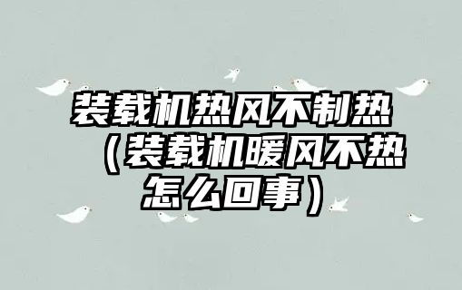 裝載機熱風不制熱（裝載機暖風不熱怎么回事）