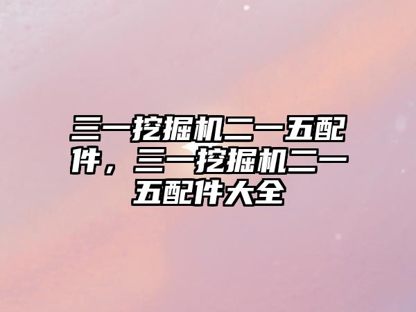三一挖掘機(jī)二一五配件，三一挖掘機(jī)二一五配件大全
