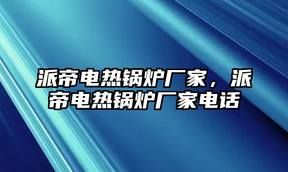 派帝電熱鍋爐廠家，派帝電熱鍋爐廠家電話