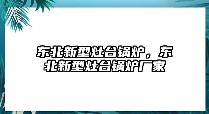 東北新型灶臺鍋爐，東北新型灶臺鍋爐廠家