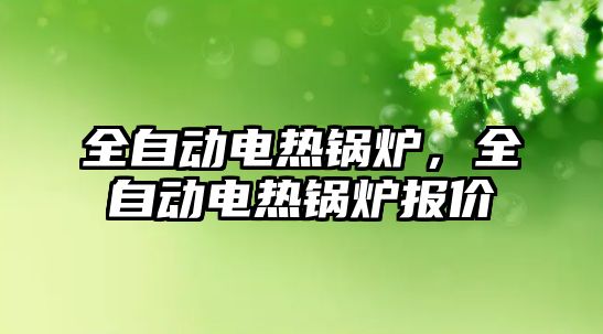 全自動電熱鍋爐，全自動電熱鍋爐報價