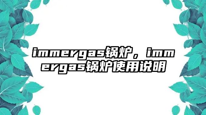 immergas鍋爐，immergas鍋爐使用說明