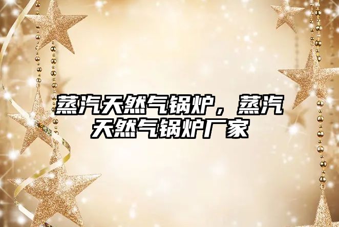 蒸汽天然氣鍋爐，蒸汽天然氣鍋爐廠家