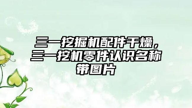 三一挖掘機配件干燥，三一挖機零件認(rèn)識名稱帶圖片