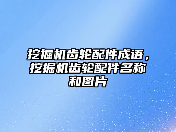 挖掘機(jī)齒輪配件成語，挖掘機(jī)齒輪配件名稱和圖片