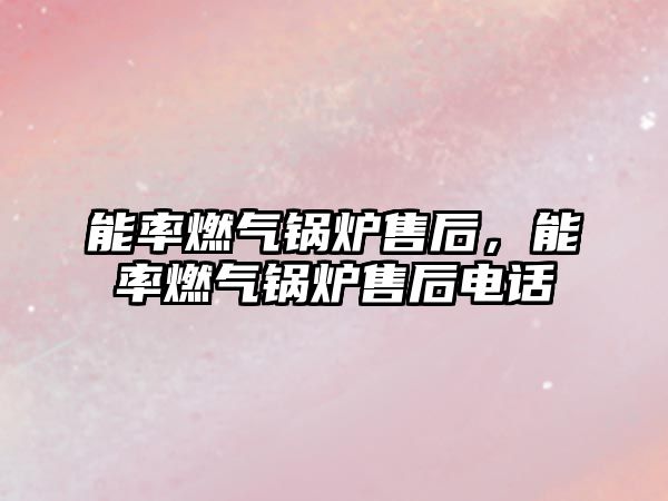 能率燃?xì)忮仩t售后，能率燃?xì)忮仩t售后電話