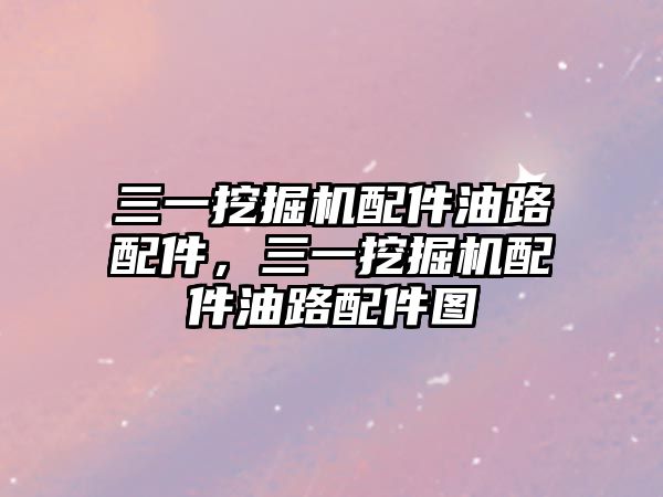三一挖掘機配件油路配件，三一挖掘機配件油路配件圖