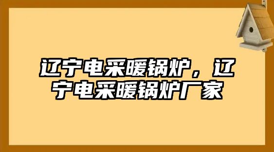 遼寧電采暖鍋爐，遼寧電采暖鍋爐廠家