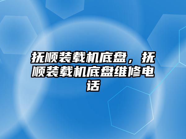 撫順裝載機底盤，撫順裝載機底盤維修電話
