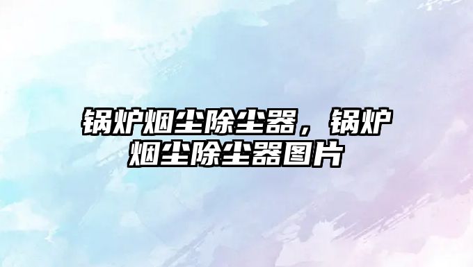 鍋爐煙塵除塵器，鍋爐煙塵除塵器圖片