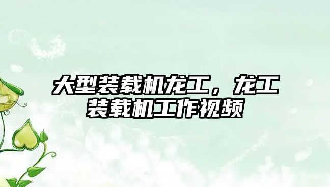 大型裝載機(jī)龍工，龍工裝載機(jī)工作視頻