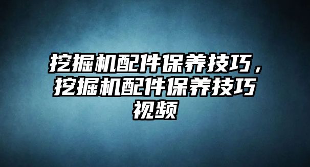 挖掘機(jī)配件保養(yǎng)技巧，挖掘機(jī)配件保養(yǎng)技巧視頻