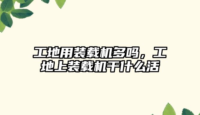 工地用裝載機多嗎，工地上裝載機干什么活