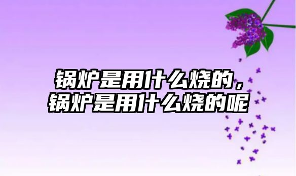 鍋爐是用什么燒的，鍋爐是用什么燒的呢