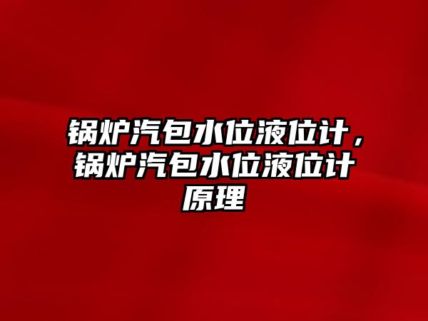 鍋爐汽包水位液位計，鍋爐汽包水位液位計原理