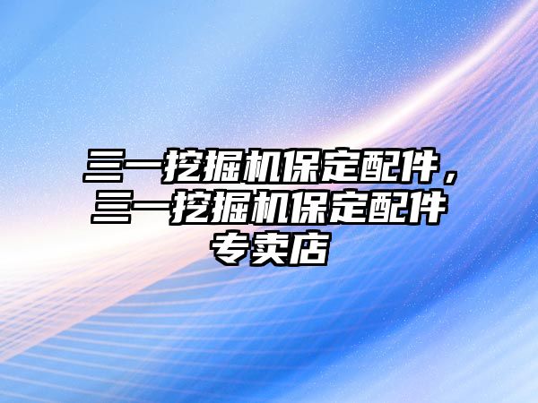 三一挖掘機保定配件，三一挖掘機保定配件專賣店