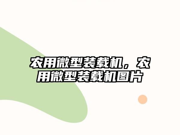 農(nóng)用微型裝載機，農(nóng)用微型裝載機圖片