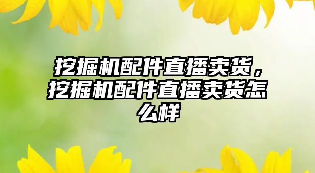 挖掘機配件直播賣貨，挖掘機配件直播賣貨怎么樣