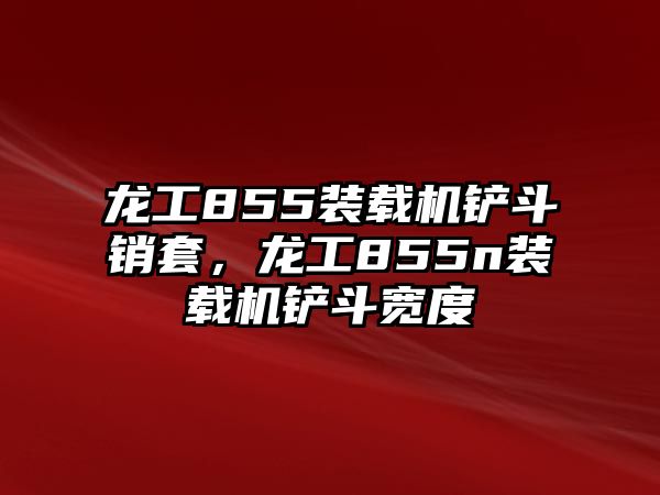 龍工855裝載機(jī)鏟斗銷套，龍工855n裝載機(jī)鏟斗寬度