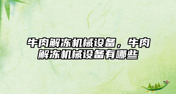 牛肉解凍機(jī)械設(shè)備，牛肉解凍機(jī)械設(shè)備有哪些
