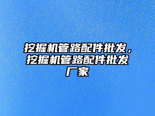 挖掘機(jī)管路配件批發(fā)，挖掘機(jī)管路配件批發(fā)廠家