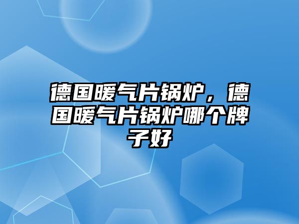德國(guó)暖氣片鍋爐，德國(guó)暖氣片鍋爐哪個(gè)牌子好