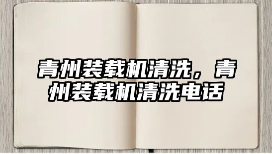 青州裝載機清洗，青州裝載機清洗電話