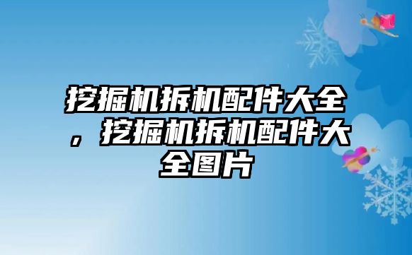 挖掘機拆機配件大全，挖掘機拆機配件大全圖片