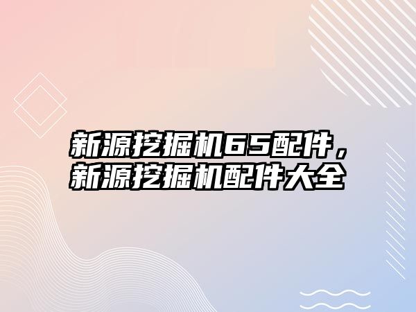 新源挖掘機(jī)65配件，新源挖掘機(jī)配件大全