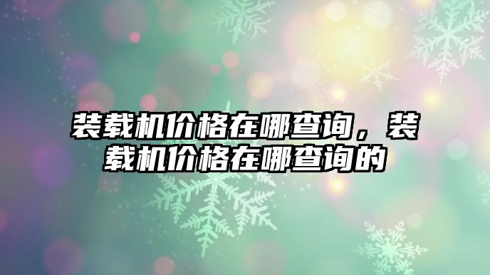 裝載機價格在哪查詢，裝載機價格在哪查詢的