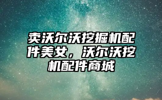賣(mài)沃爾沃挖掘機(jī)配件美女，沃爾沃挖機(jī)配件商城