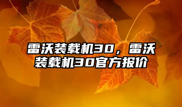 雷沃裝載機30，雷沃裝載機30官方報價
