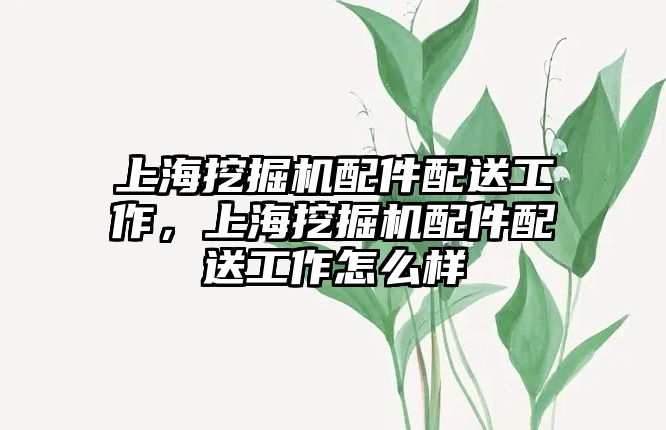 上海挖掘機配件配送工作，上海挖掘機配件配送工作怎么樣