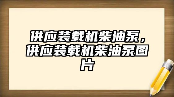 供應(yīng)裝載機(jī)柴油泵，供應(yīng)裝載機(jī)柴油泵圖片