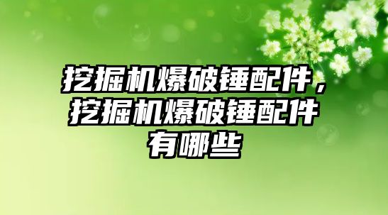 挖掘機爆破錘配件，挖掘機爆破錘配件有哪些