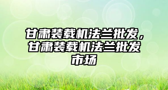 甘肅裝載機法蘭批發(fā)，甘肅裝載機法蘭批發(fā)市場