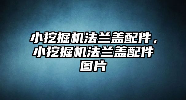 小挖掘機(jī)法蘭蓋配件，小挖掘機(jī)法蘭蓋配件圖片