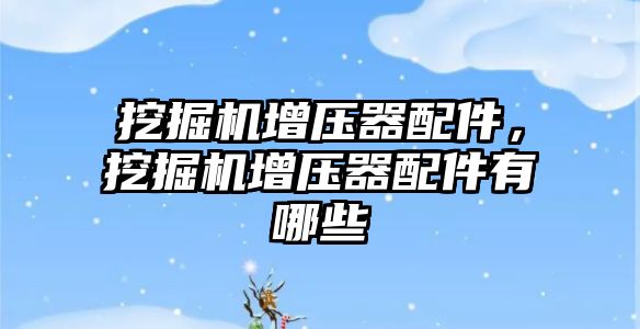 挖掘機(jī)增壓器配件,挖掘機(jī)增壓器配件有哪些