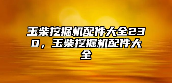 玉柴挖掘機(jī)配件大全230，玉柴挖掘機(jī)配件大全